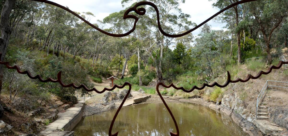 No oasis: Hepburn Pool's brown colour reflects its stagnant, low water conditions, making for less-than-desirable swimming conditions. Picture: Dylan Burns