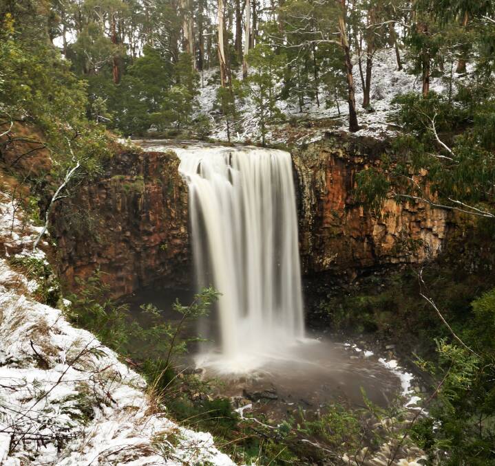 Dreamlike: Trentham Falls in full gushing glory amid recent snowfall. High rainfall has led to breathtaking scenery across Hepburn's various parks and walkways. Picture: Ros Plunkett, The Land Down Under