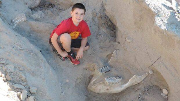 Jude Sparks with the stegomastodon fossil he stumbled across near Las Cruces, New Mexico.  Photo: Peter Houde-New Mexico State University
