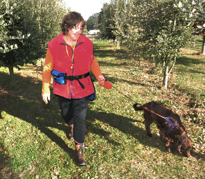 ON THE HUNT: Georgie Patterson with Summer the truffle dog looking for truffles in Trentham during the very short season. Picture: Julie Hough