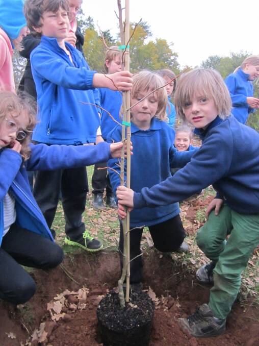 Drummond Primary School pupils Alice Glen, Archie Sullivan, Riley Mullet and Milo Waterhouse plant trees. 