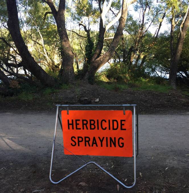 WORK UNDER WAY: Hepburn Shire Council says that the manual removal of weeds over large areas would be ineffective and cost prohibitive and therefore has opted to use the chemicals picloram and triclopyr. Picture: supplied.