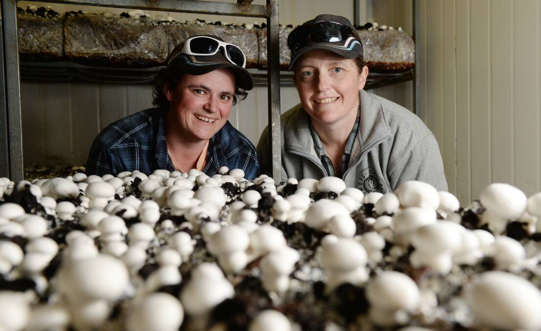 NOT MUSHROOM LEFT: Farmers Monique and Tanya Lunn, who have warned foragers to be mindful of fungi poisoning this season heading into winter. Picture: Kate Healy 