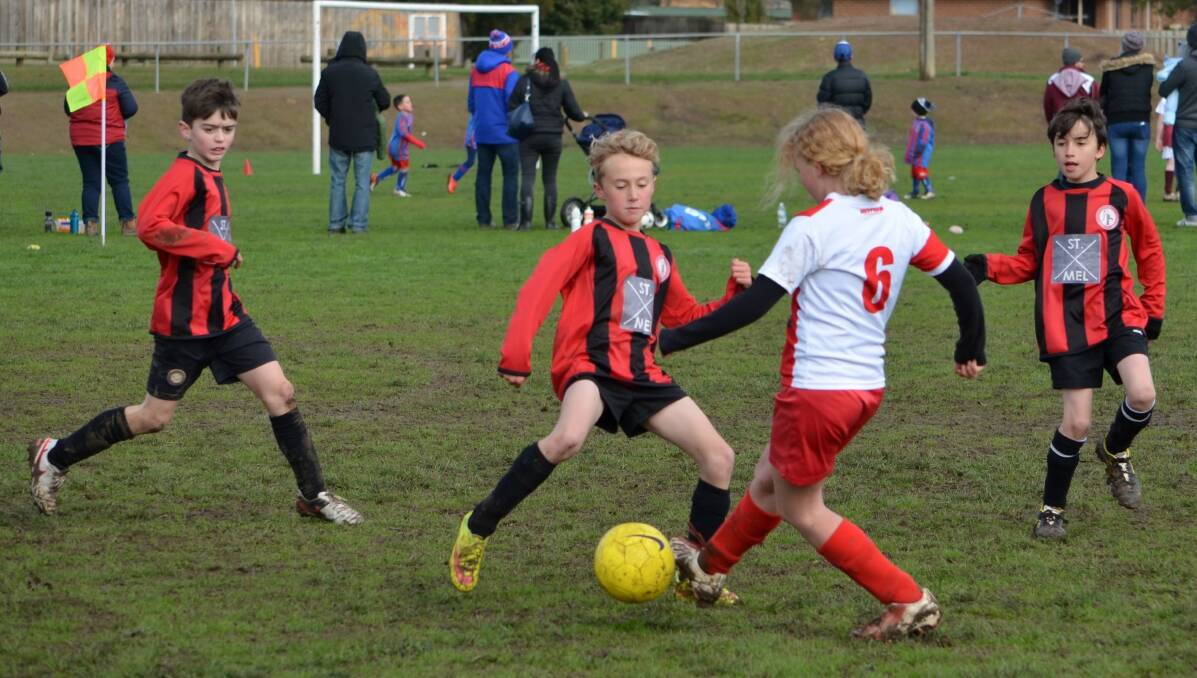 ACTION PLUS: Zach, Otis and Monty get into the action during the under 11 match between Daylesford and Ballarat Red at the weekend..