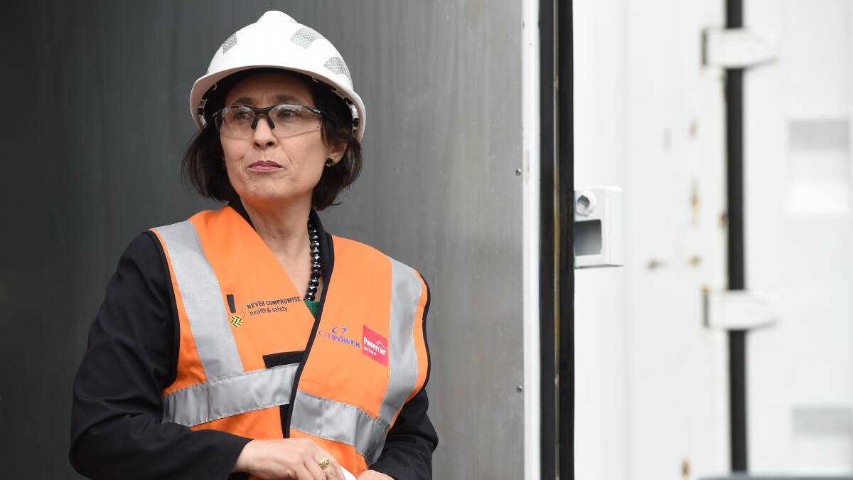 Suburban Development Minister Lily D’Ambrosio.  Picture: Kate Healy. 