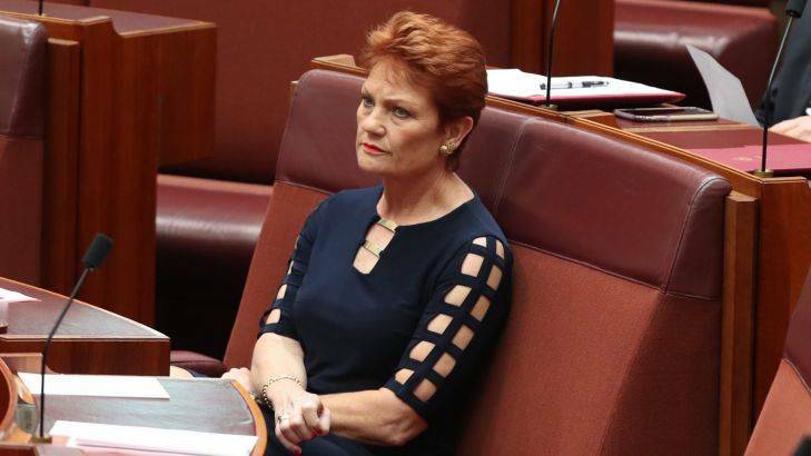 Senator Pauline Hanson in the Senate at Parliament House on Tuesday 28 March 2017. Photo: Andrew Meares
