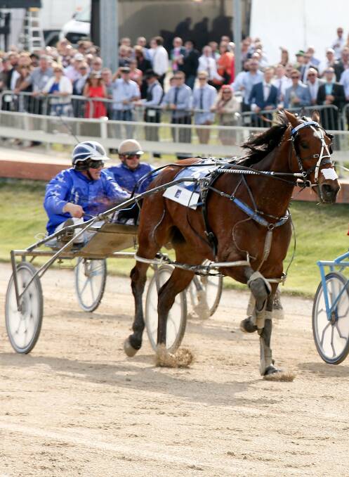 Smolda defending his Ballarat Pacing Cup title on Saturday night. Picture: Getty Images
