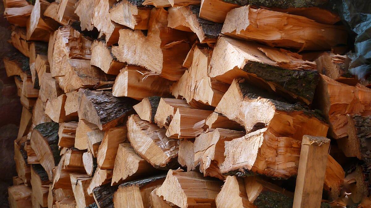 Search warrant for illegal firewood