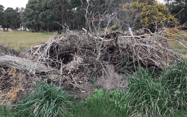 Woody waste heap at Gardiner Street in Creswick. Picture: Supplied. 