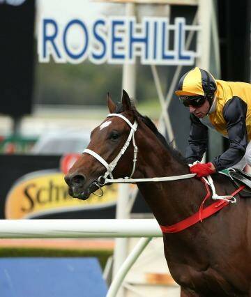 Ultra impressive: Press Statement maintained an unbeaten record by winning at Rosehill on Saturday. Photo: Anthony Johnson