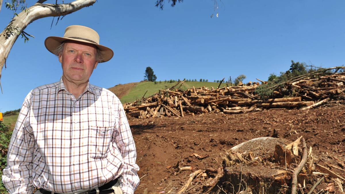 Musk resident Gregory Heath is concerned about the felling of pine trees on a land adjacent to his property. 