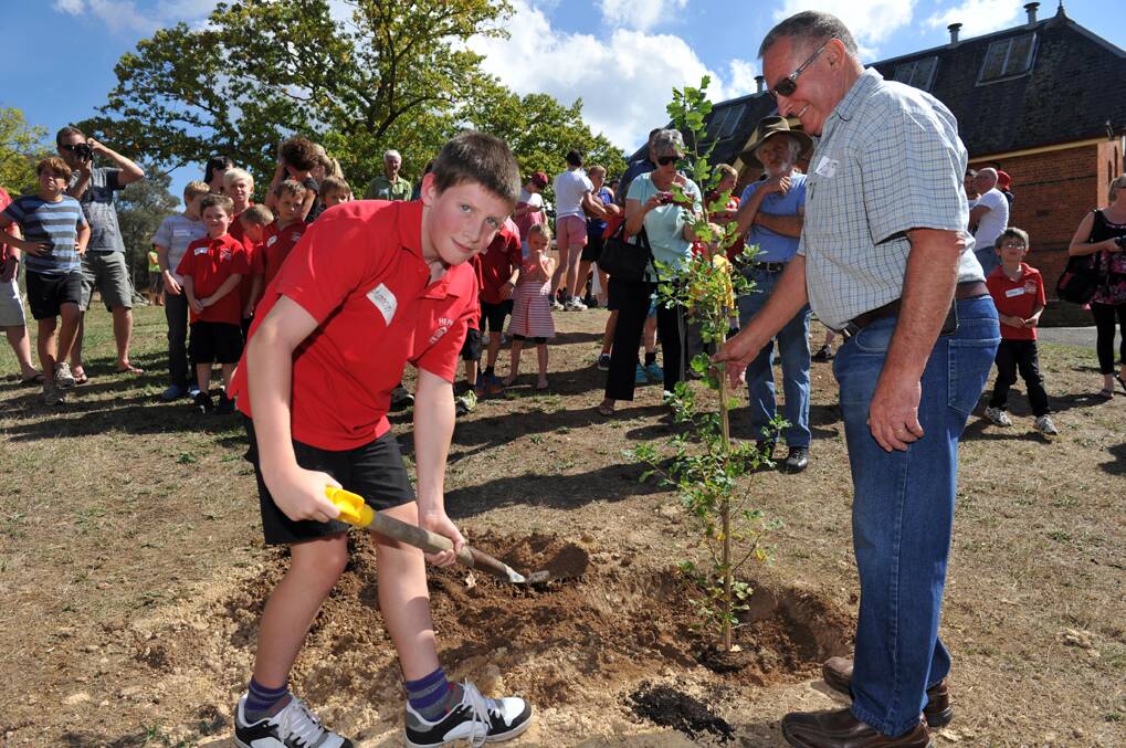 Student Shannon Harraghy plants an oak tree ably assisted by Bill Pedretti.

Picture: JULIE HOUGH 
