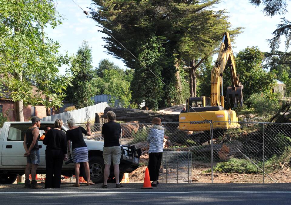 Concerned residents look on as the 100-year-old trees are removed on private property in Raglan Street. Picture: JULIE HOUGH