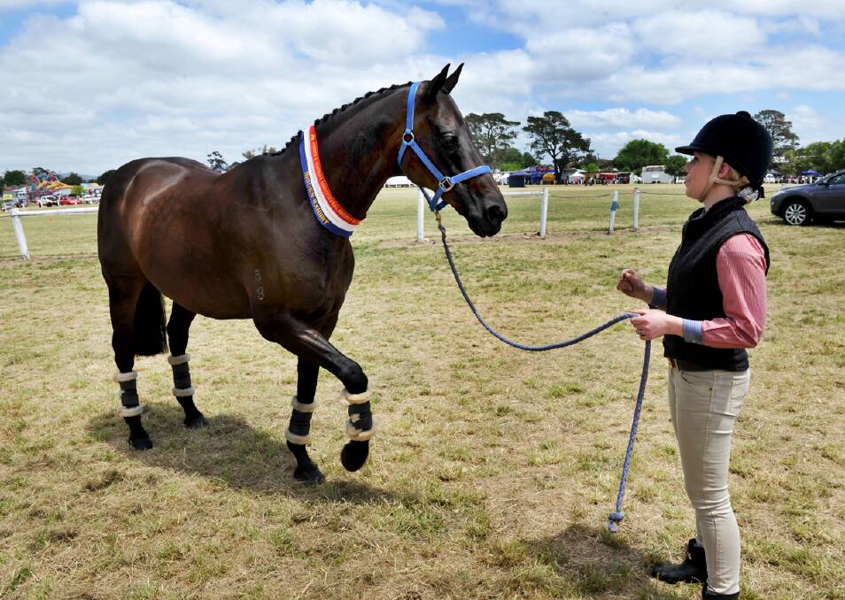 Lots of fun had by all at the 2013 Clunes show
