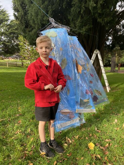 Buninyong Primary School grade two pupil Miles Kramer celebrates trees and all things autumn (and blue).