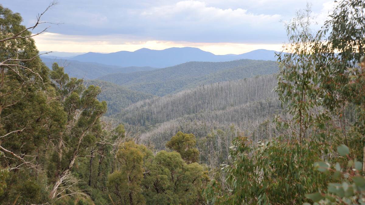 View over Gippsland hills. File picture