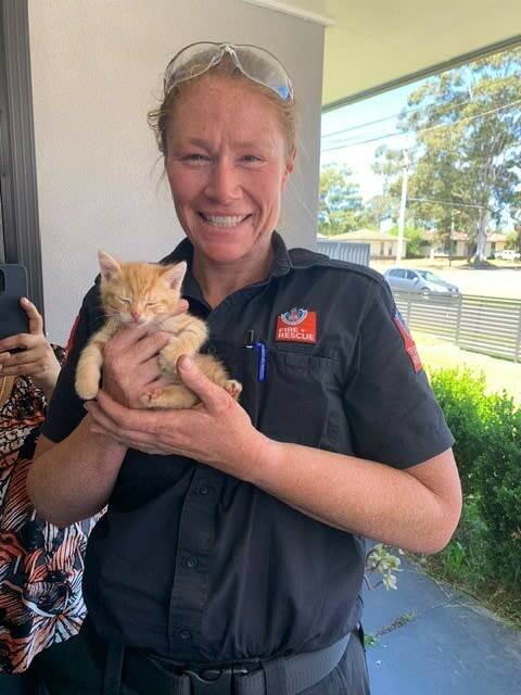 'Dashi' the ginger kitten, made a run for it and got stuck in the dashboard of a Holden. Picture supplied