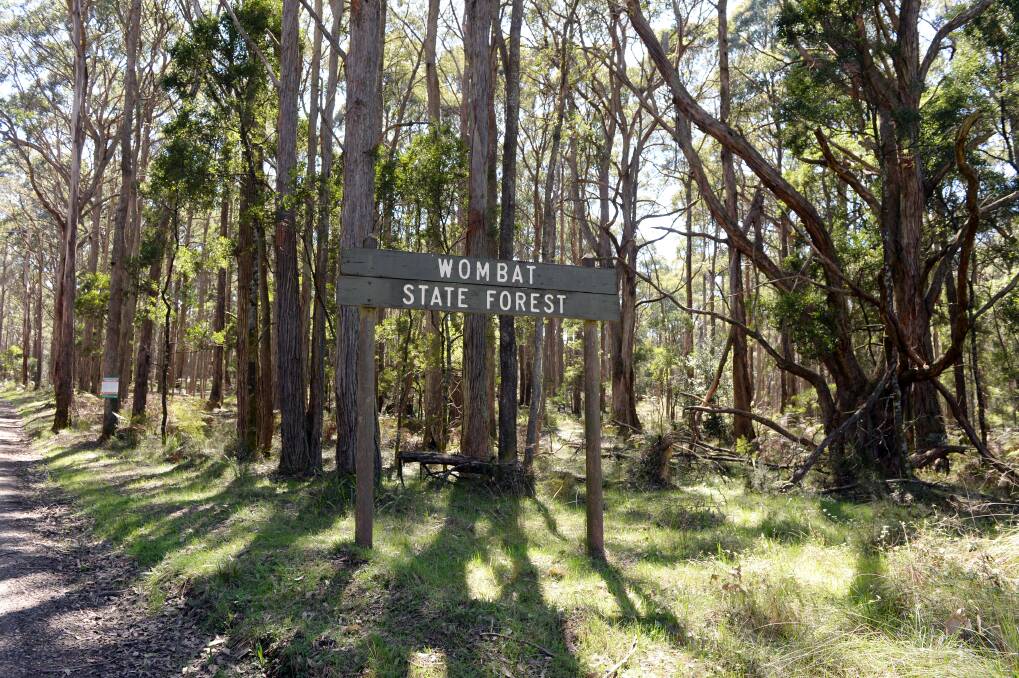 The Wombat State Forest homes several endagered species which activists fear will be affected by salvage logging. Picture file