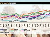 PRESSURE: Global cattle prices remain strong, but Rabobank's latest analysis says they will have to come down to keep beef competitive at a retail level.