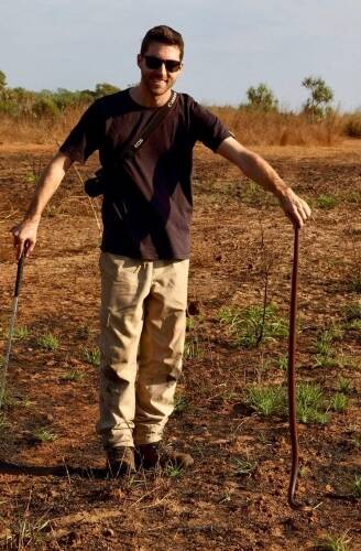 Dr Brenton von Takach with a Coastal Taipan, one of the few highly venomous snakes which can be found in the Darwin region.