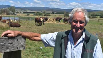 Glen Goulburn Poll Herefords co-principal Lynn Vearing has properties in Whittlesea, Glenburn and at Epping. He says he'd like to see a simpler form for applying for the Whittlesea shire farm rate. Picture by Andrew Miller