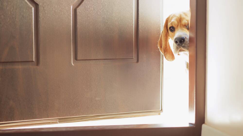 Not the doorstep in question. Photo: Shutterstock