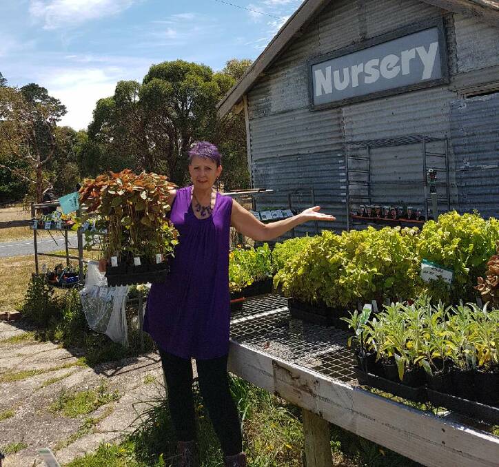 FED UP: Allendale Nursery manager Rebecca Sprosen is calling on a thief to return her stolen herbs. It is the second time the premises has been targeted in just months.