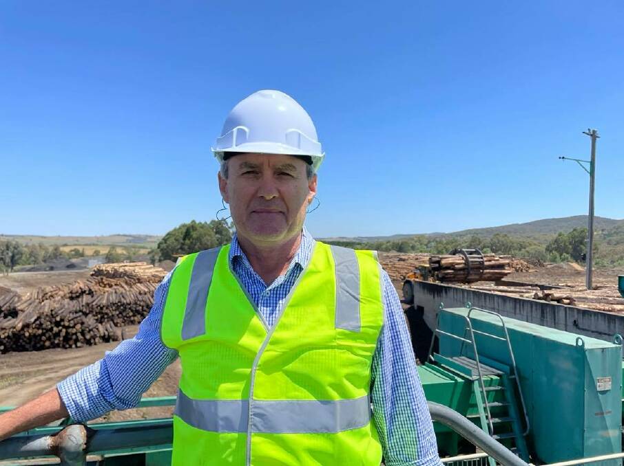 Hyne Timber director James Hyne at the Tumbarumba Mill. Mr Hyne said with government support they could divert logs headed for export in order to feed the mill during their bushfire reovery. 