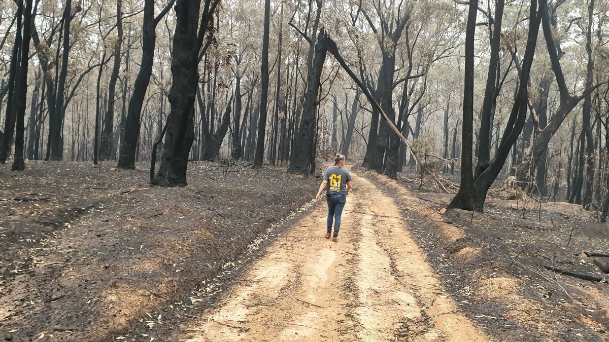 'It took six weeks to cry': Reflecting a year on from the South Coast fires