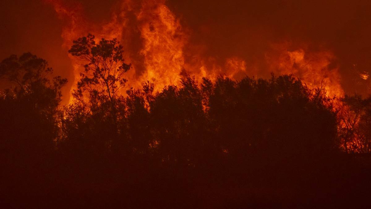 'We will see many more deaths': Call for national approach to early bushfire detection