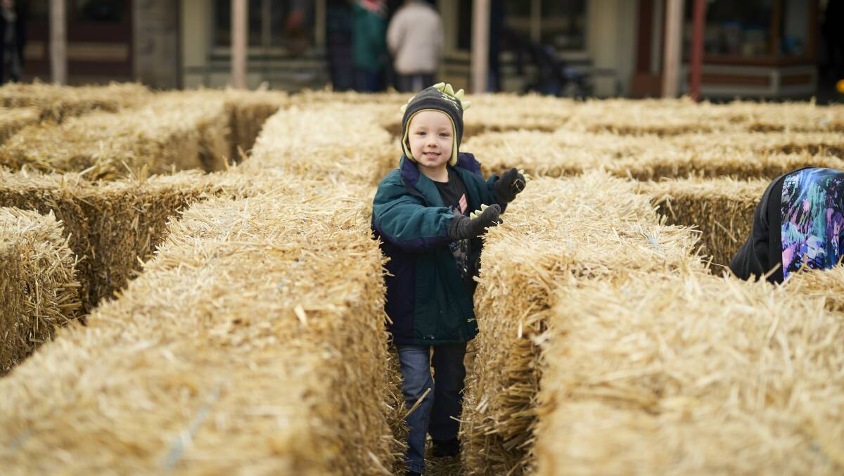 Ben Scholz, 5, takes on the straw bale maze. Picture: Luka Kauzlaric