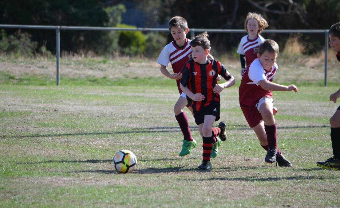 ON THE RUN: Daylesford's U11 player Jackson Goddard leads a pack during the winning game against Creswick at the weekend.