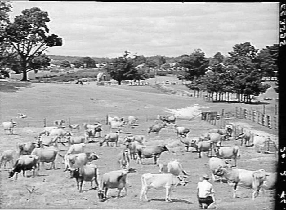 Farms at the orphanage: an image of the Ballarat orphanage farm from the 1930s. Picture: Museums Victoria.