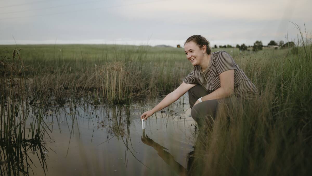 ANU student Isabella Howard conducts a water temperature test during frog watching in Macgregor. Picture: Dion Georgopoulos