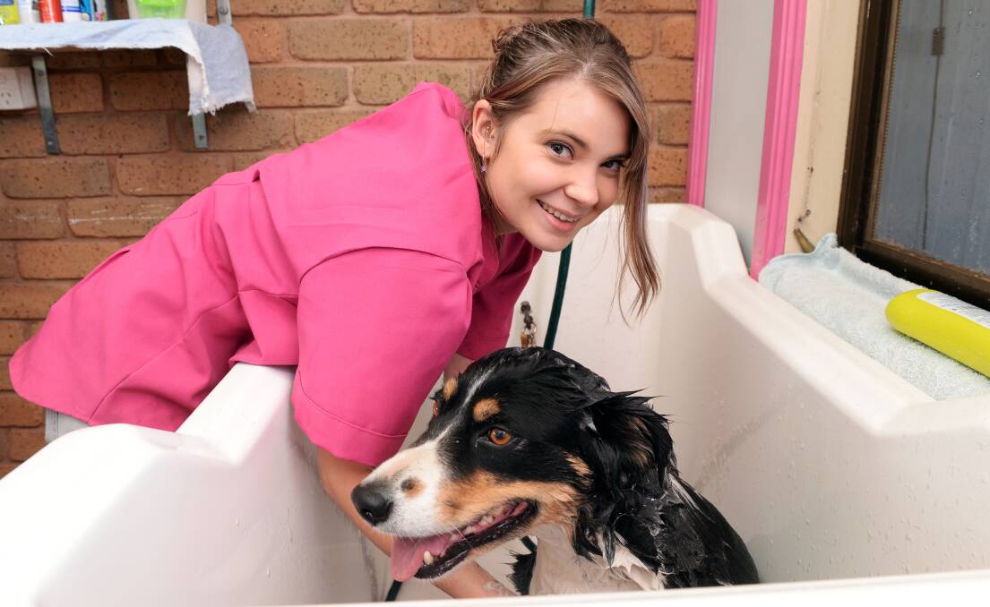 CARE OF THE DOG: At just 22, Danni Jones has started her business which is pampering pooches from all around the state. Picture: Kate Healy