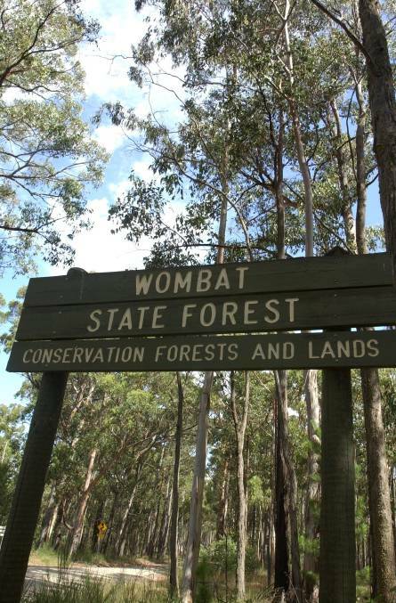 ASSET: Wombat State Forest. Photo: Lachlan Bence
