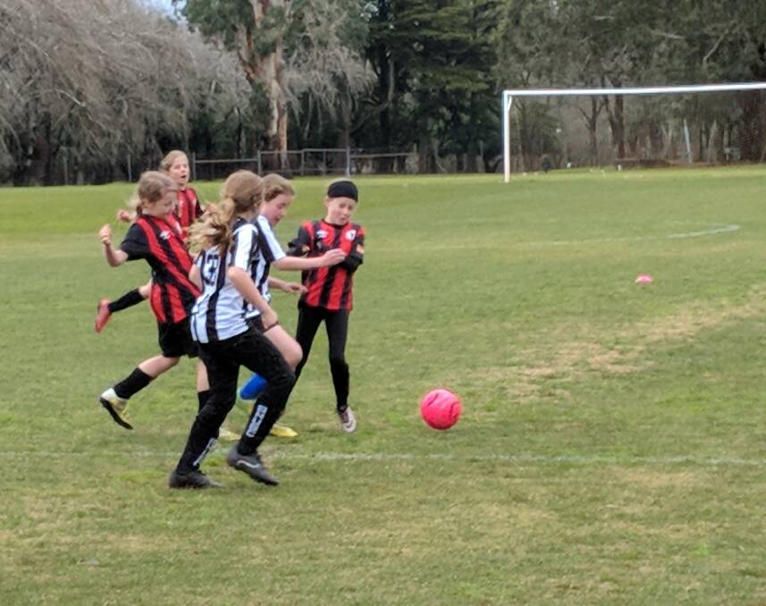 GROUP EFFORT: Daylesford and Hepburn United's MiniRoos girls are improving with every game. Photo: Supplied