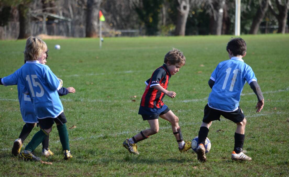 SOCCER: It was an all around great weekend for Daylesford and Hepburn United Soccer Club, with both the juniors and seniors performing well and the under 13s climbing to top spot on the ladder.