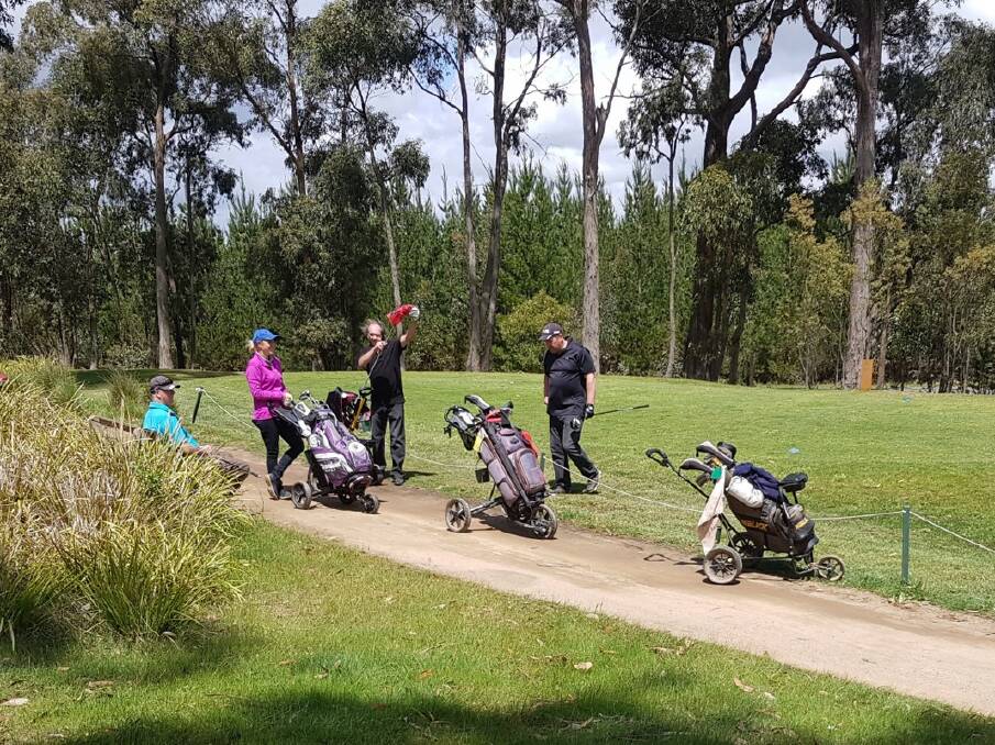 WHAT A DAY: Creswick Golf Club players Steve Leonard, Kristie Kennedy, Steve Hardy and Luke Stevens teeing off at the 5th hole.
