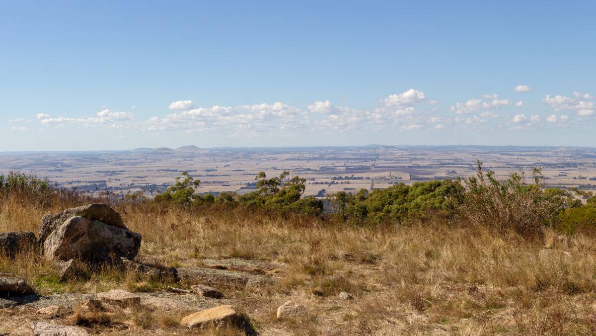 PANORAMA: The view from the top of Mt Beckworth. Photo: Ann Jeffree 