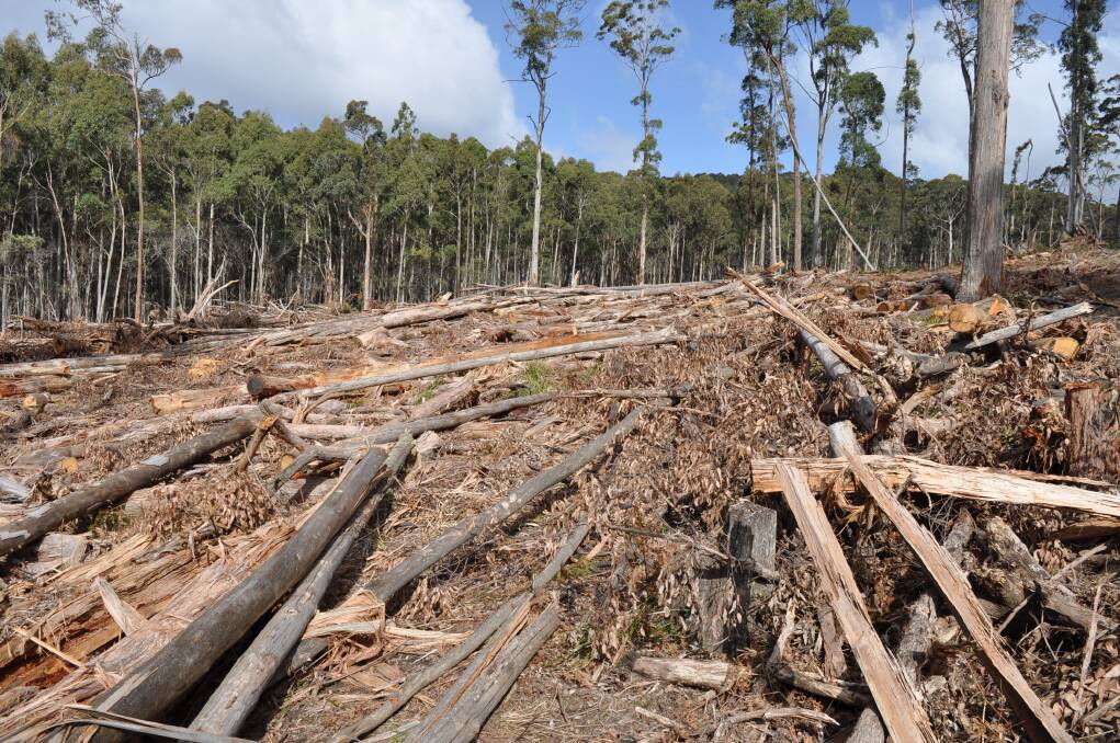 Logging at Mount Cole. Photo: Supplied by VNPA