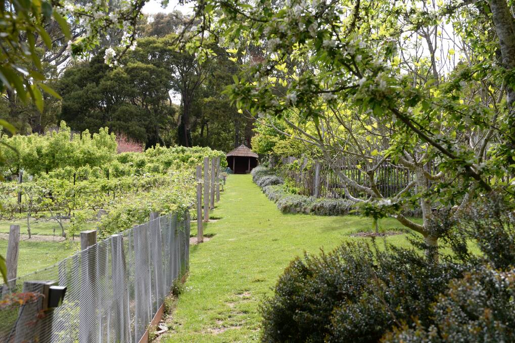 GREENERY: The garden features an expansive orchard as well as a vegetable garden. Photo: Kate Healy