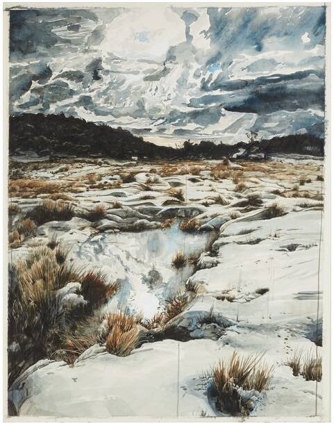WINNER: Bullarto artist Phillip Edwards' 'Glory be, water tree' is a watercolour on paper of the rugged alpine landscape at Victoria's Mt Buffalo National Park.