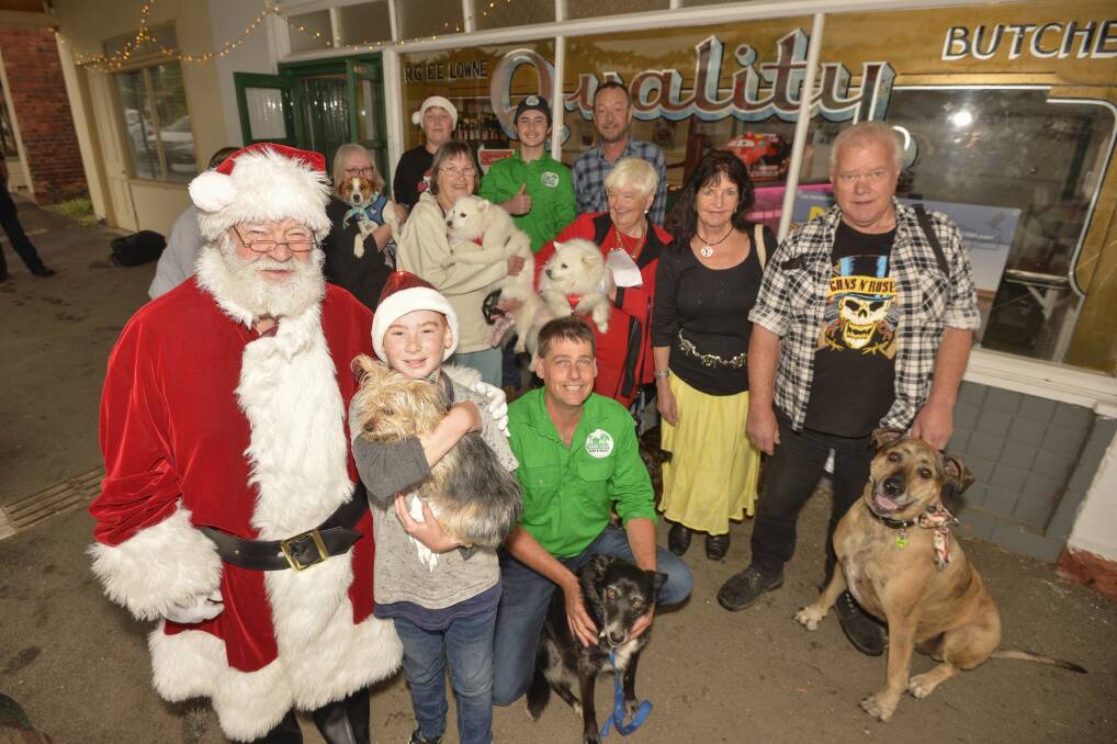 DOGS GALORE: Lots of owners and their pooches showed up to the Christmas party despite the heavy rain. Photo: Dylan Burns