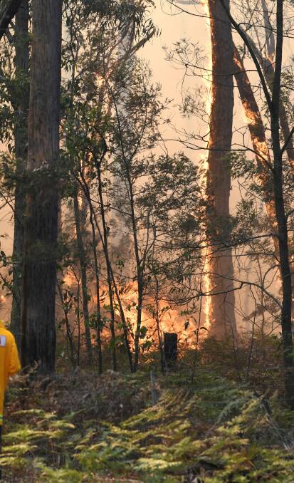 FIRE: Victoria will experience frequent high risk bushfire weather with hotter and drier conditions expected to continue as a result of climate change.