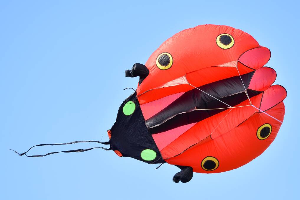FLY HIGH: Last year's kite festival. Photo: Dylan Burns