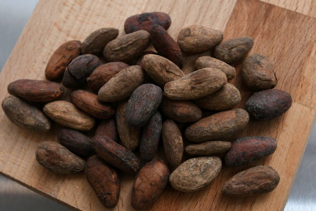 BEFORE: The Atelier's raw cocoa beans. Photo: Lachlan Bence