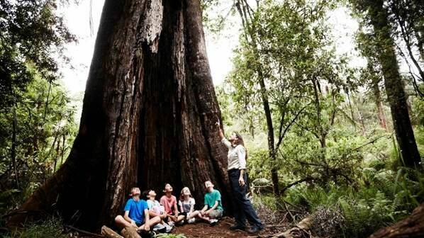 IN AWE OF NATURE: Children learn about Victoria's parks through a junior rangers program.