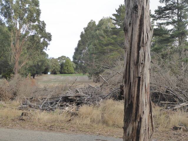 PINE: Works to clean up Trentham Golf Club are taking place. 