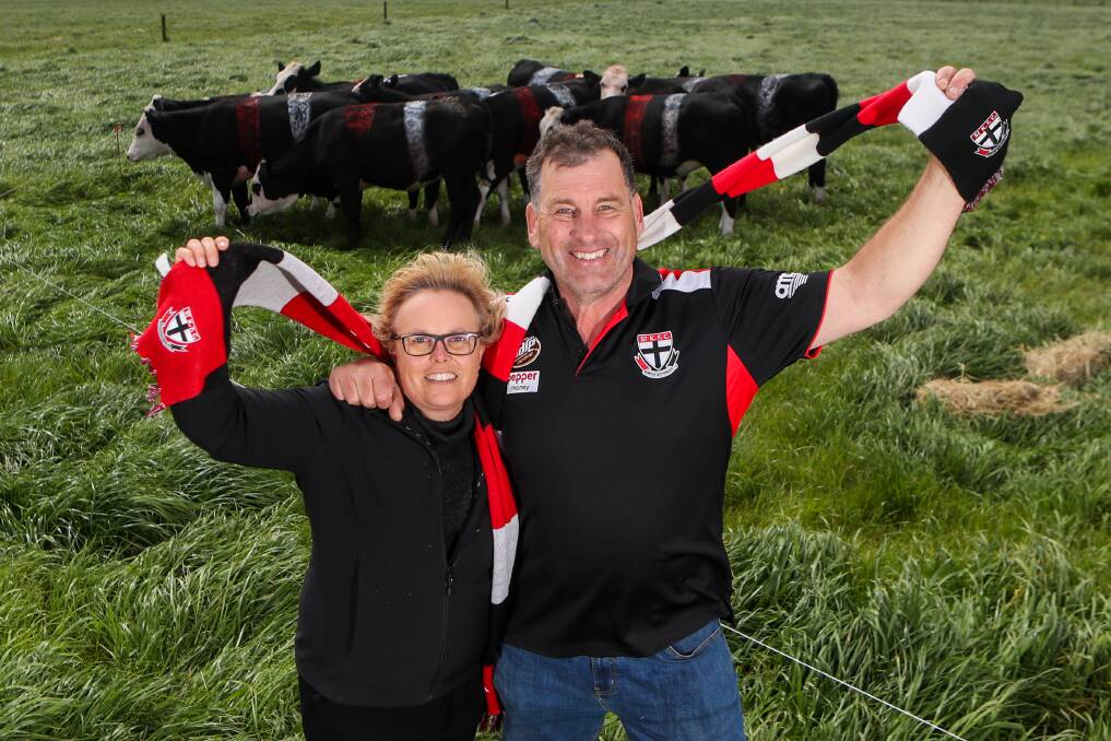 MOOVING FORWARD: Proud parents Jan and Don Marshall will watch son Rowan play for St Kilda in Friday night's semi-final. They've painted their cows red, white and black in support. Picture: Morgan Hancock 